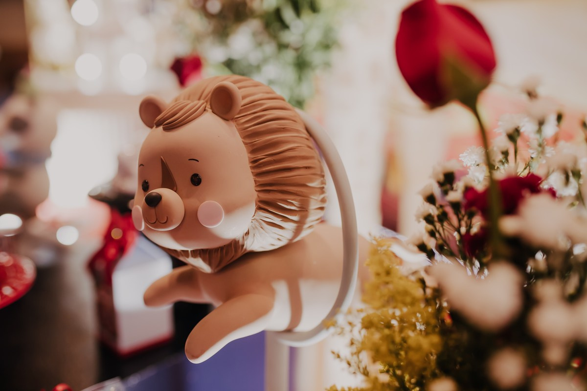 Juninho — 1 ano. Fotógrafa de Eventos em São Paulo e Sorocaba Kika Damasceno