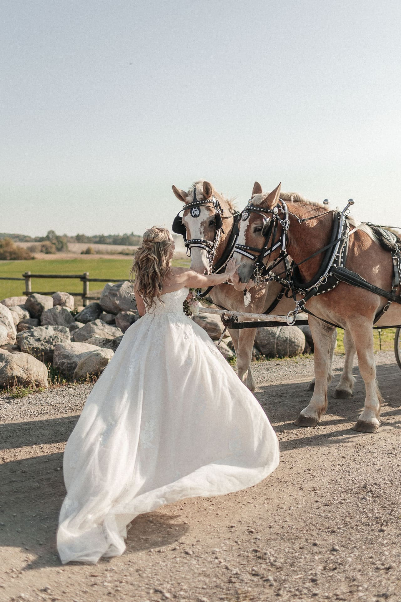 Danielle & Dave. Storytellers Films — Candid Wedding Videographer & Photographer in Toronto, Ontario and beyond