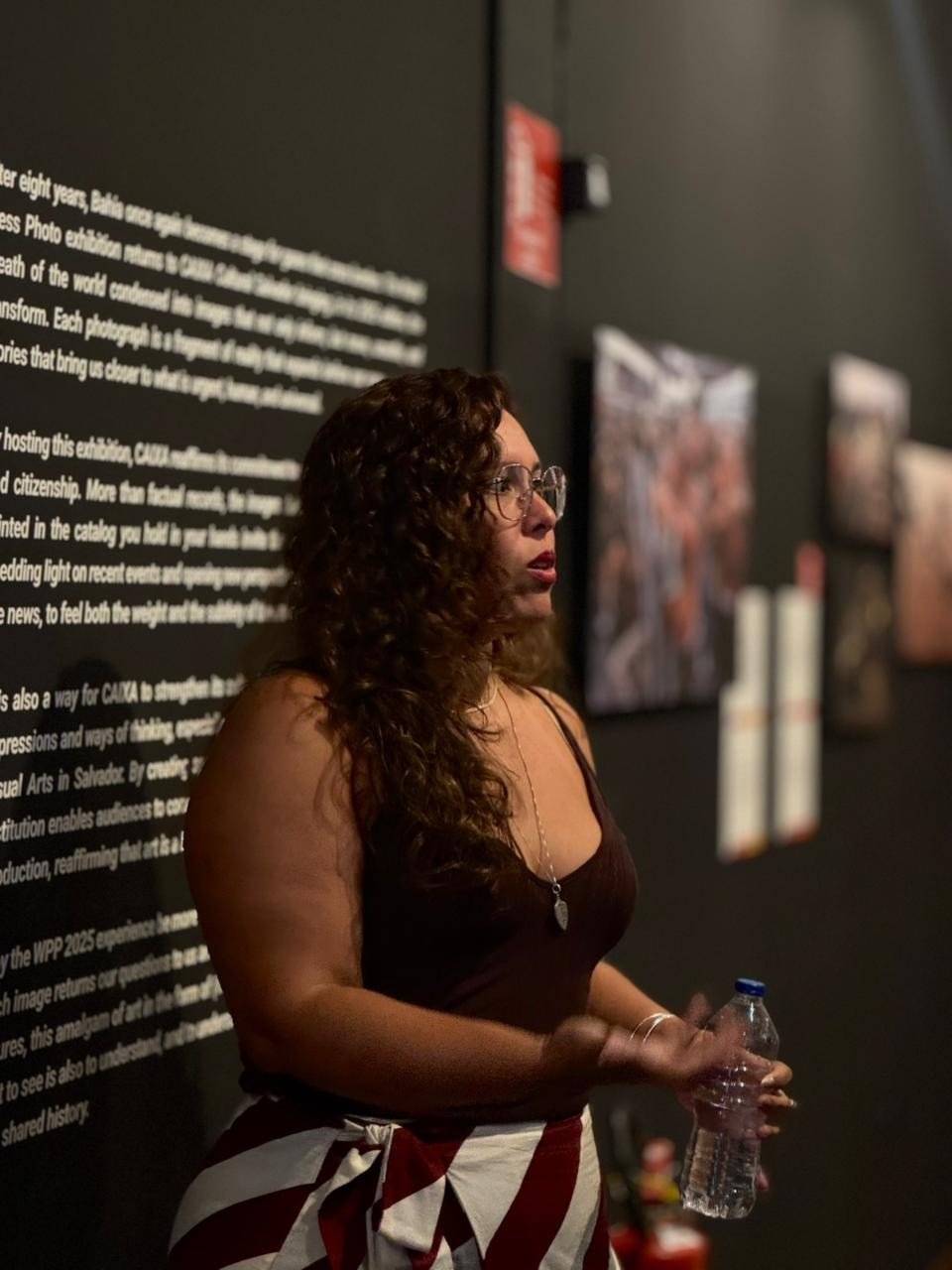 CV. Curator Maíra C. Gamarra