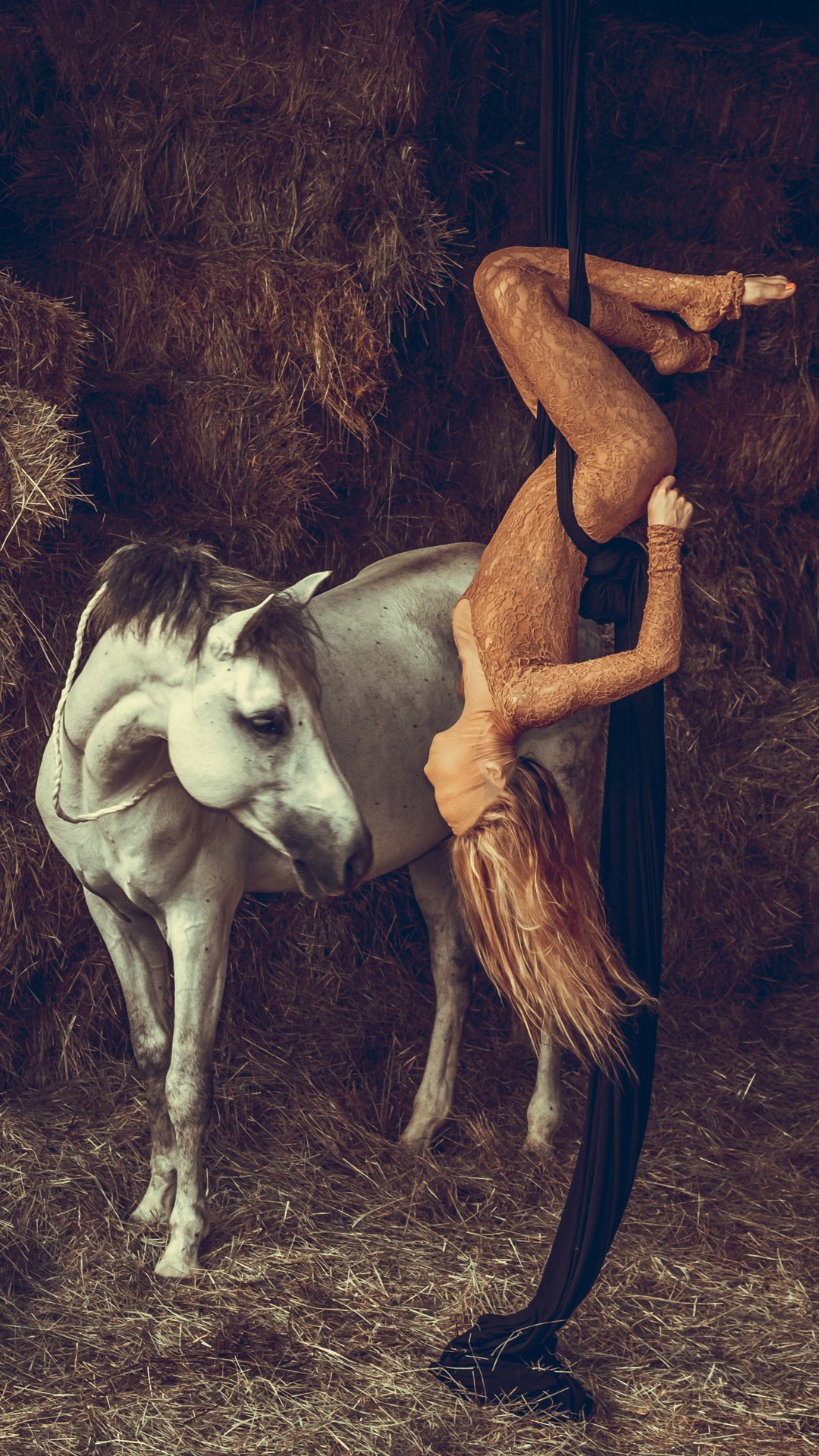 FINE ART. Shanti Alex Art