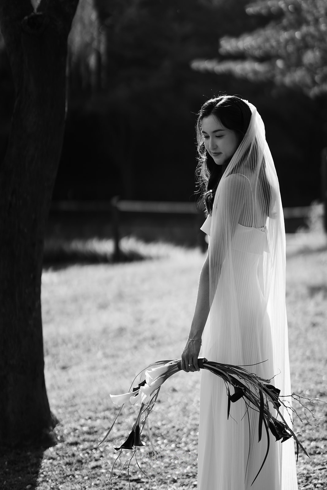 Monica&Chris/ wedding story. Студия декора «Нарния»