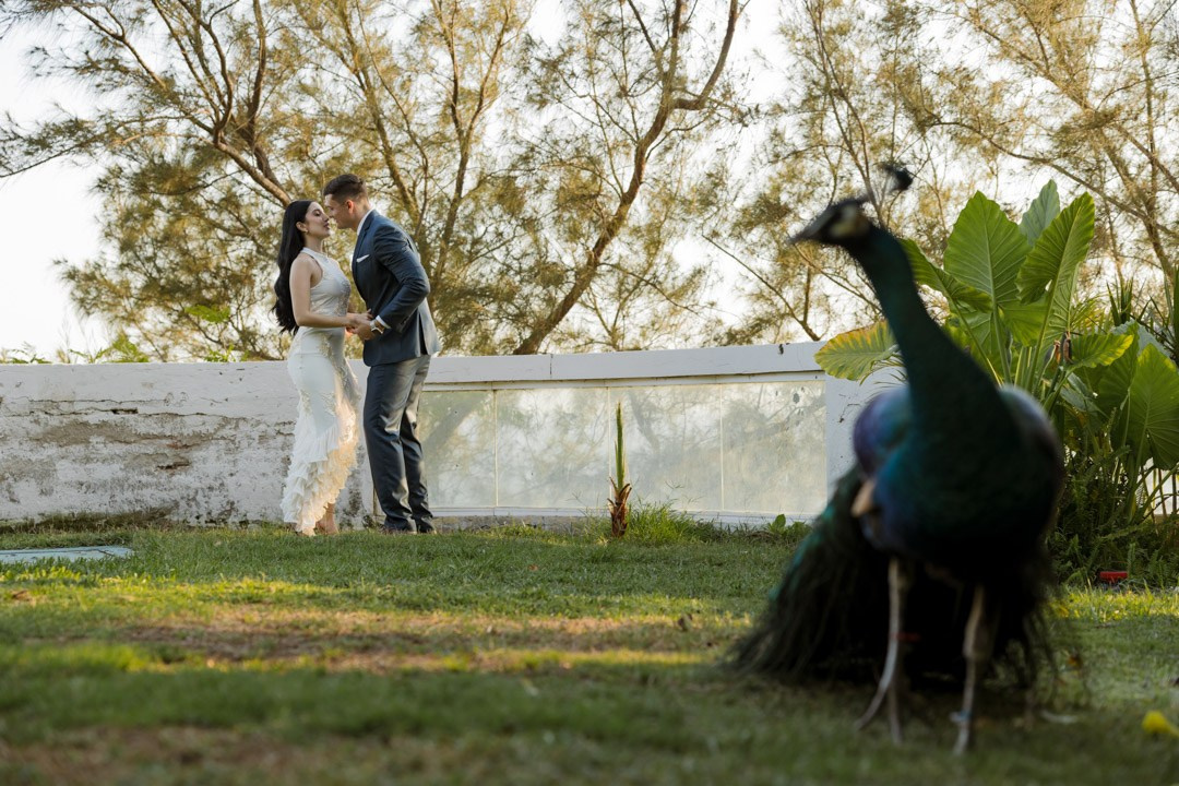 V + R. Luis Astorga - Fotografo de Bodas