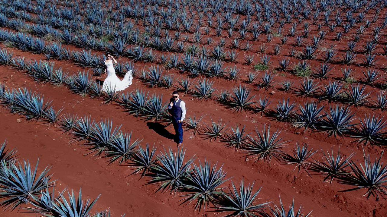 Fotografias de Boda. Javier Plascencia Fotografo de Bodas en México