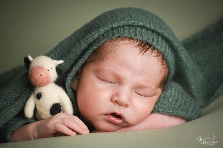 New Born. HERMOSILLO STUDIO