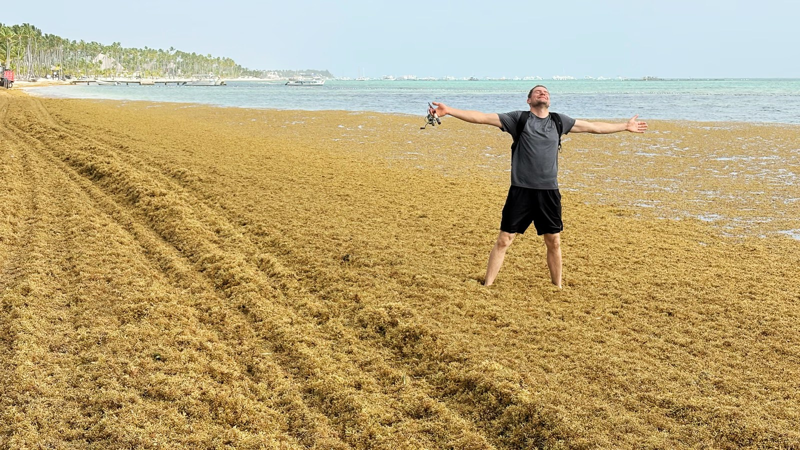 Person among Sargassum seaweed on Bavaro Beach in the Dominican Republic