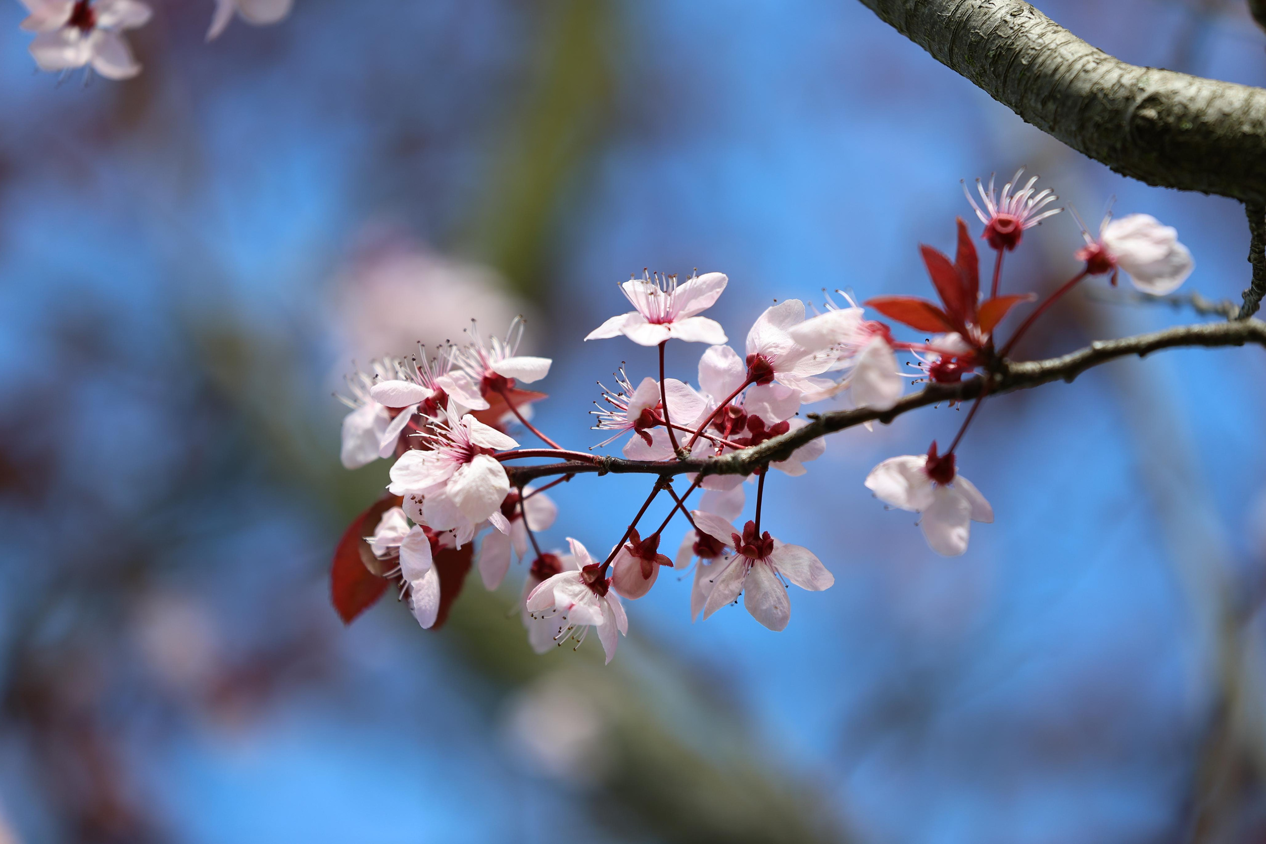 Veintitrés primaveras en un mes. Alicia: fotografía artística y escritura creativa en Asturias