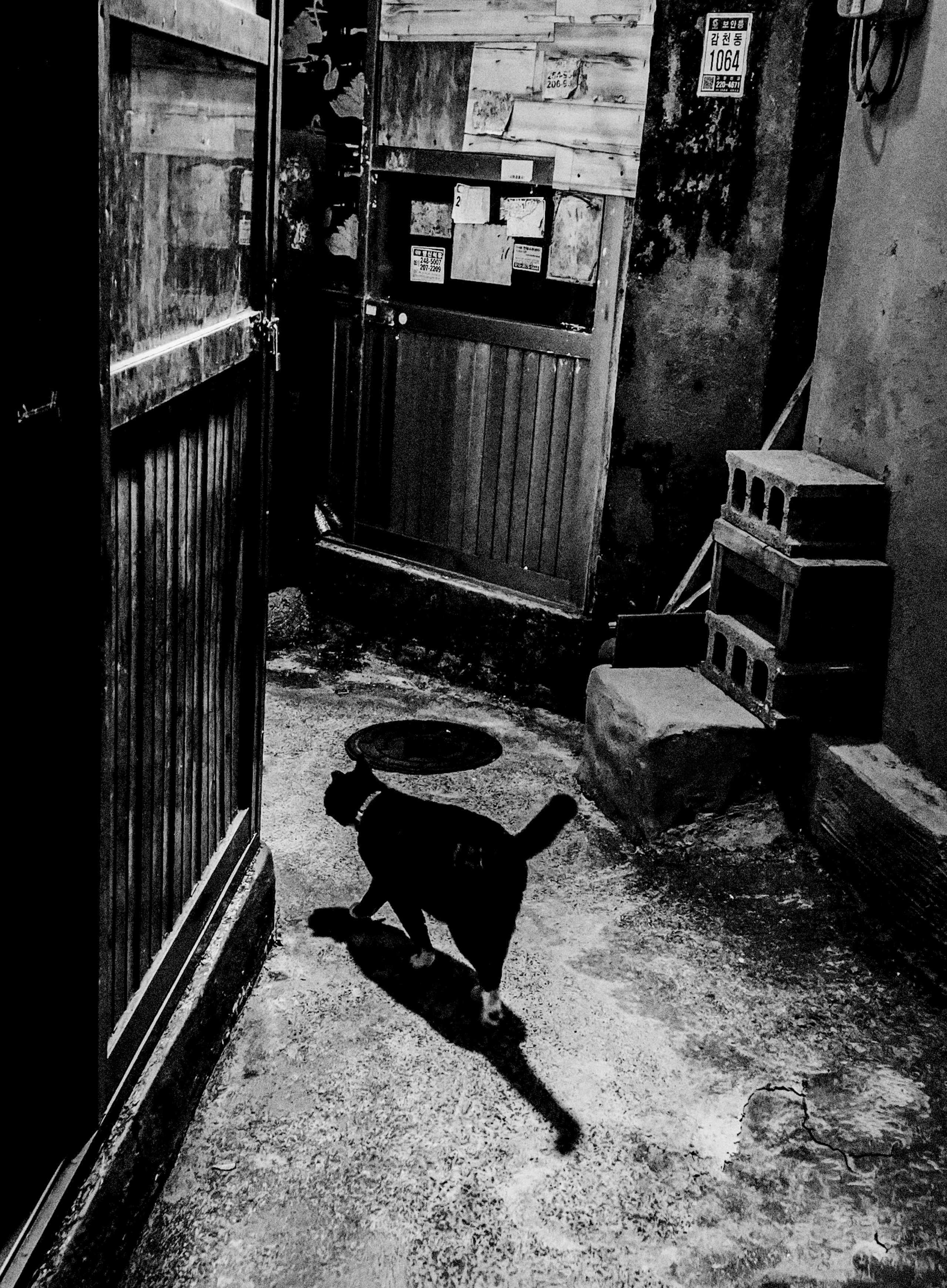 20.06.2026 | photo poster project — Busan. Taeyoung Kang — Fine Art Photographer in Busan | SIGANFRAME