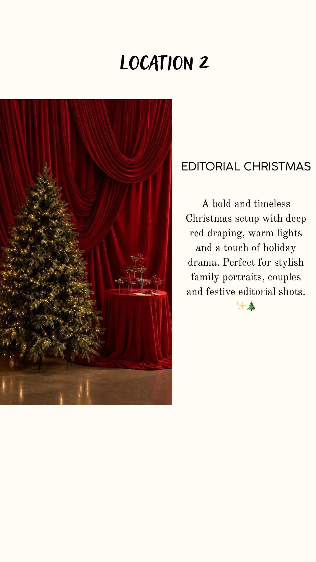 Christmas minis 2026. Photographer Elvira Hryshchenko