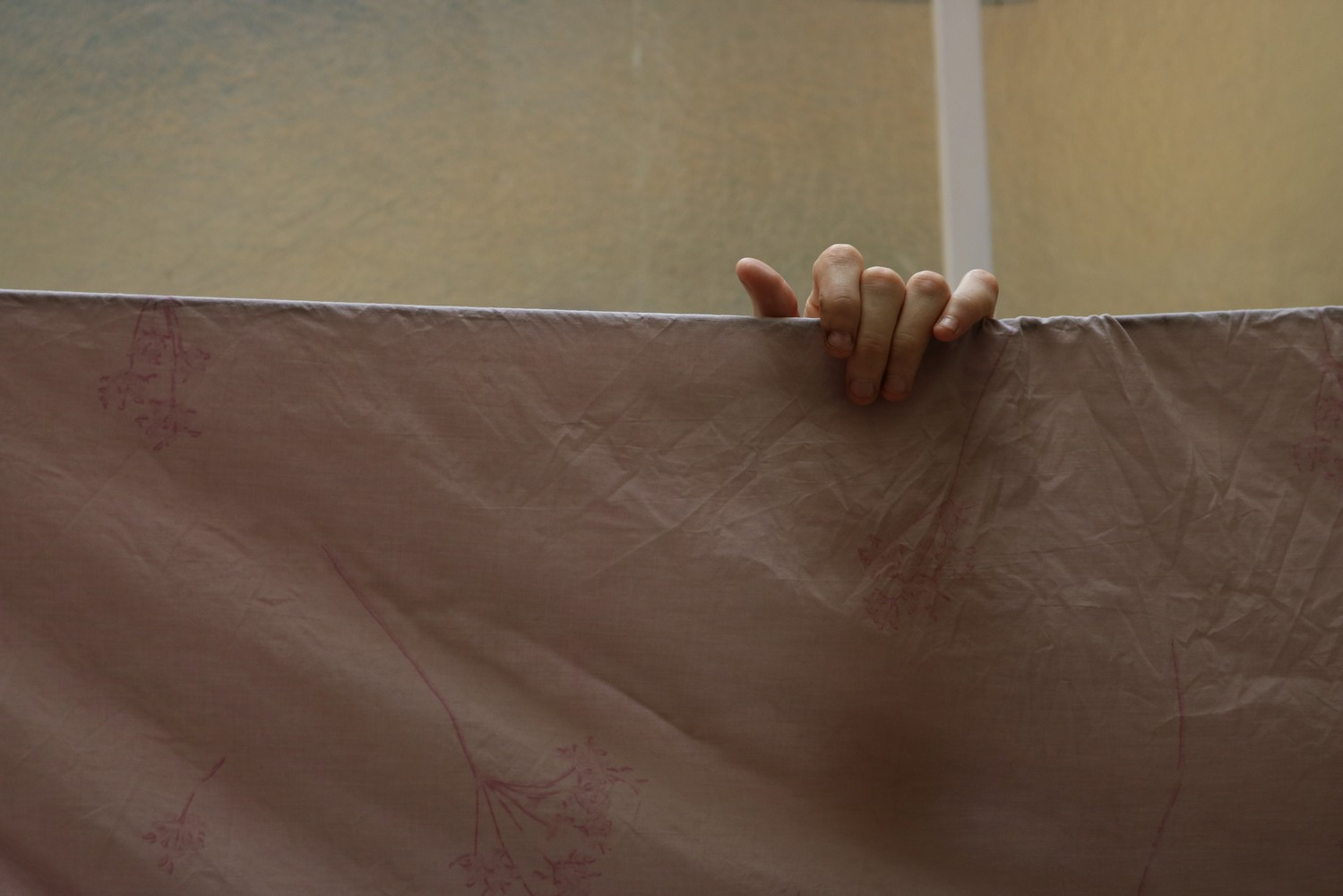Domestícame. Alicia: fotografía artística y escritura creativa en Asturias