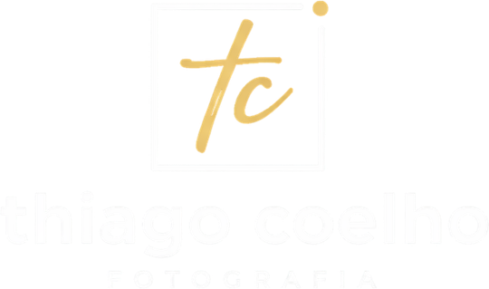 thiagocoelho.art.br