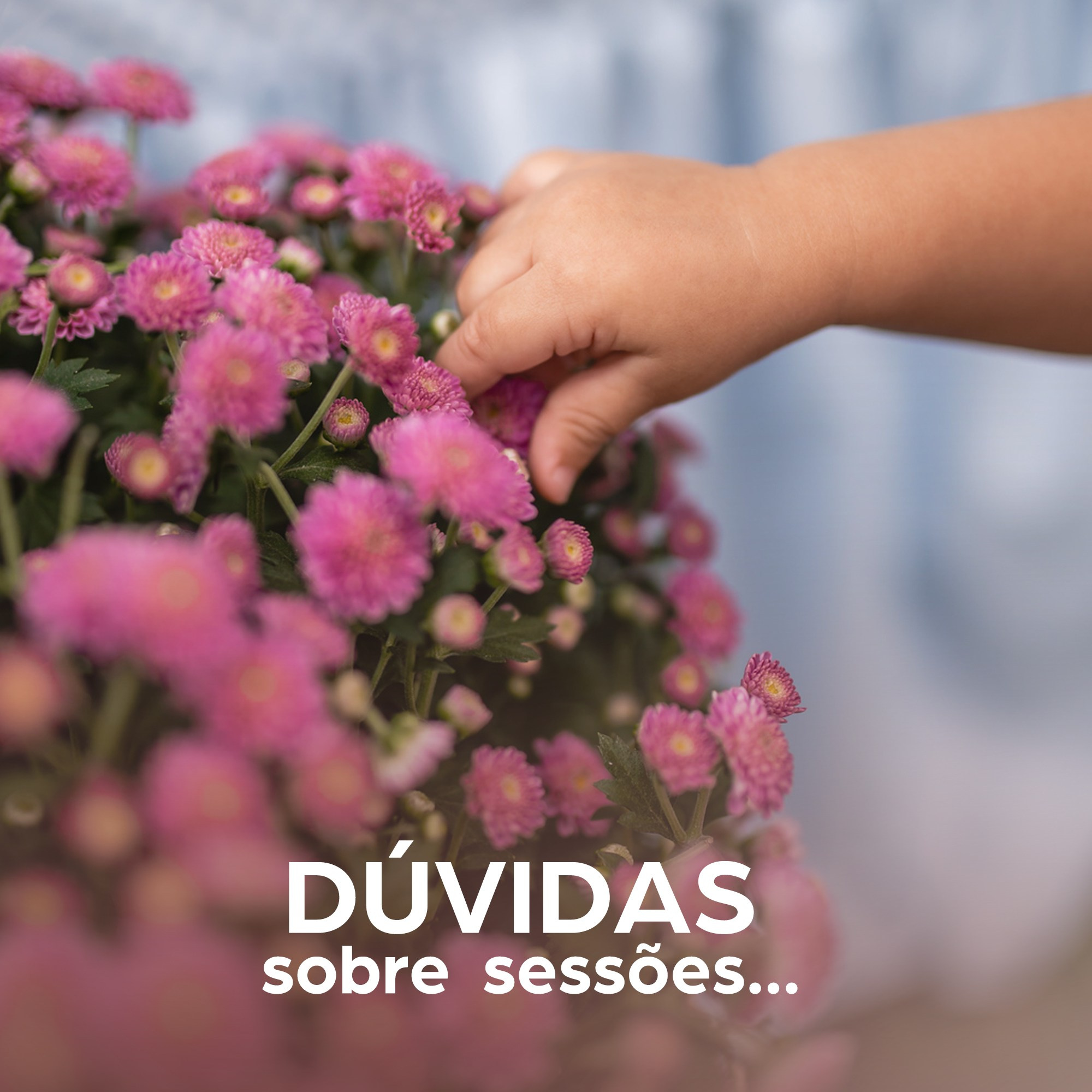 Dúvidas Frequentes (FAQ) sobre ensaios e festas