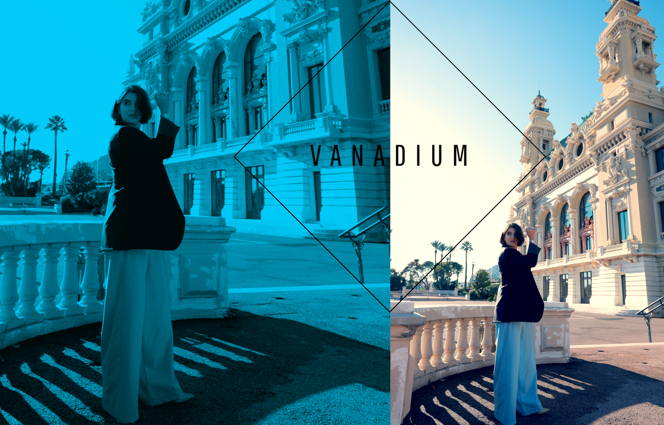 VANADIUM affiche