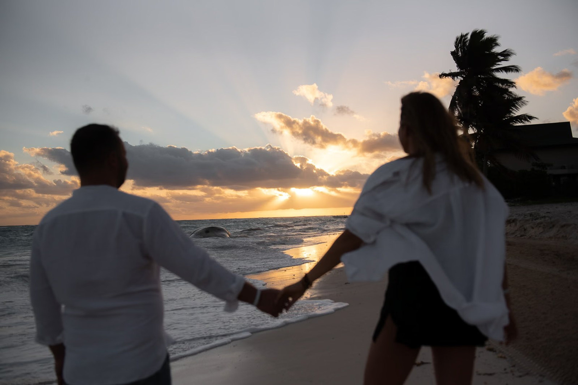 Punta Cana photographer — Alex Po