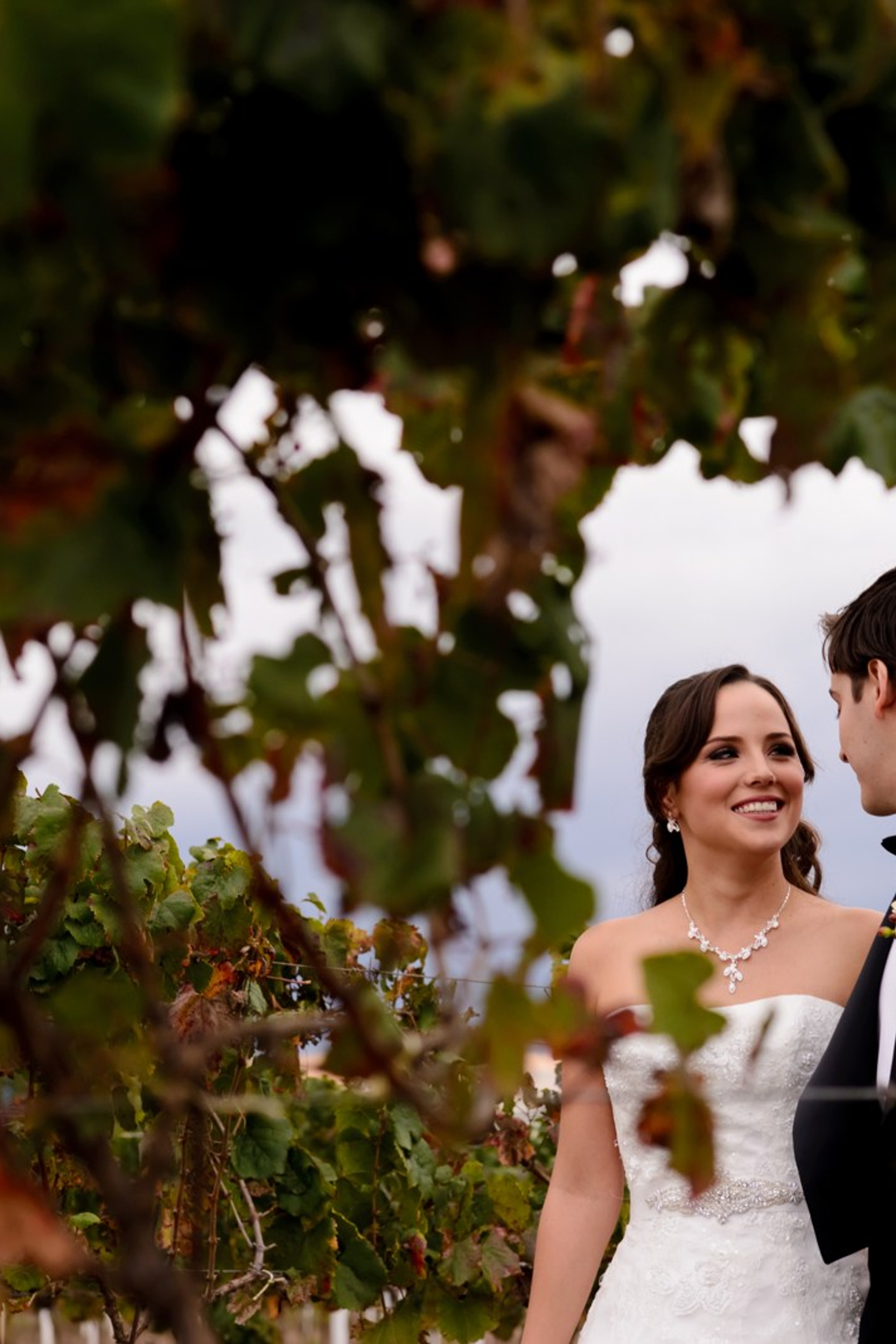 Paola y Alejandro. Fotógrafo de bodas