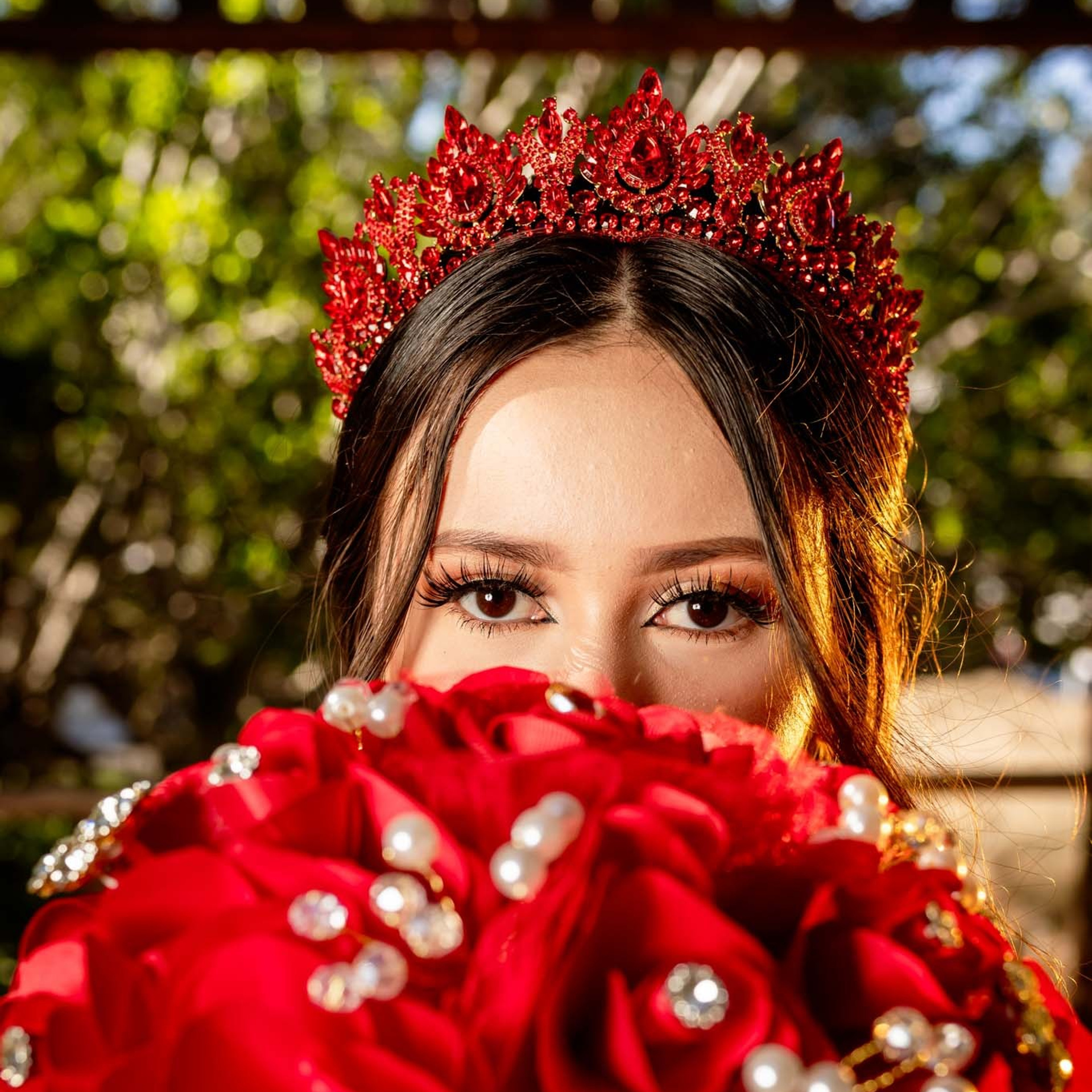 Dafne XV