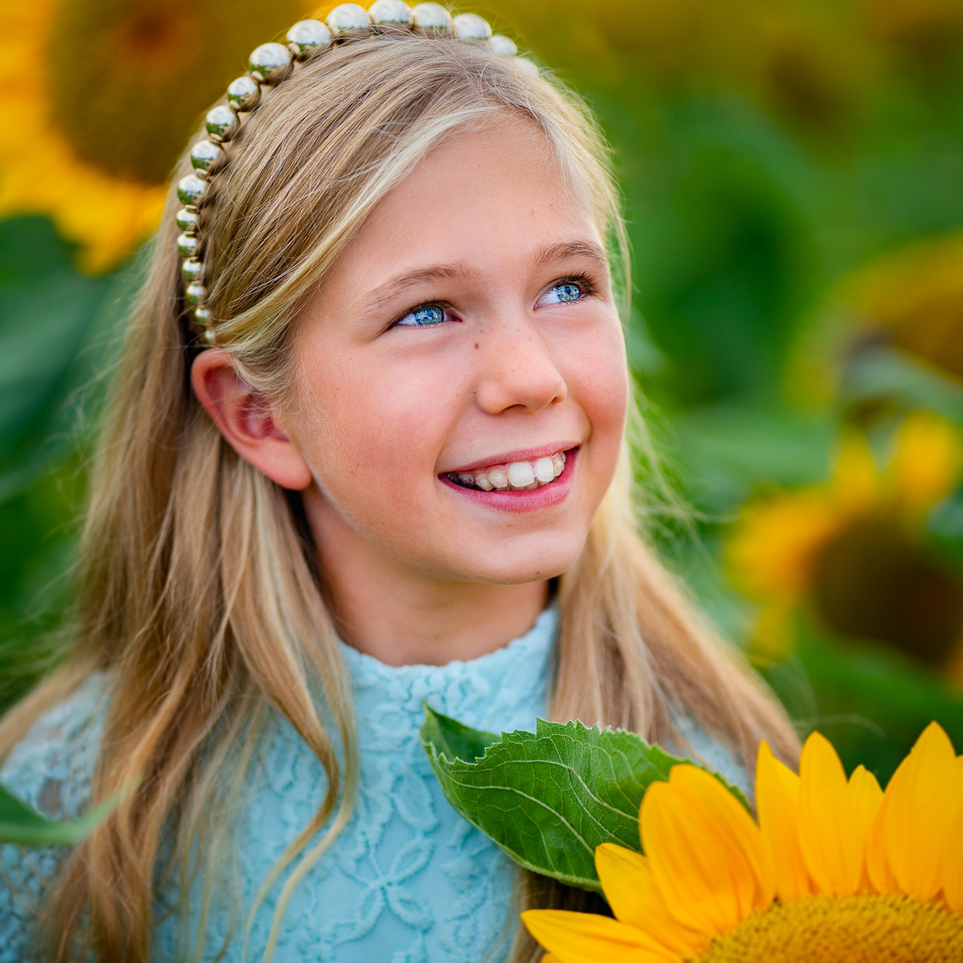 Sunflowers
