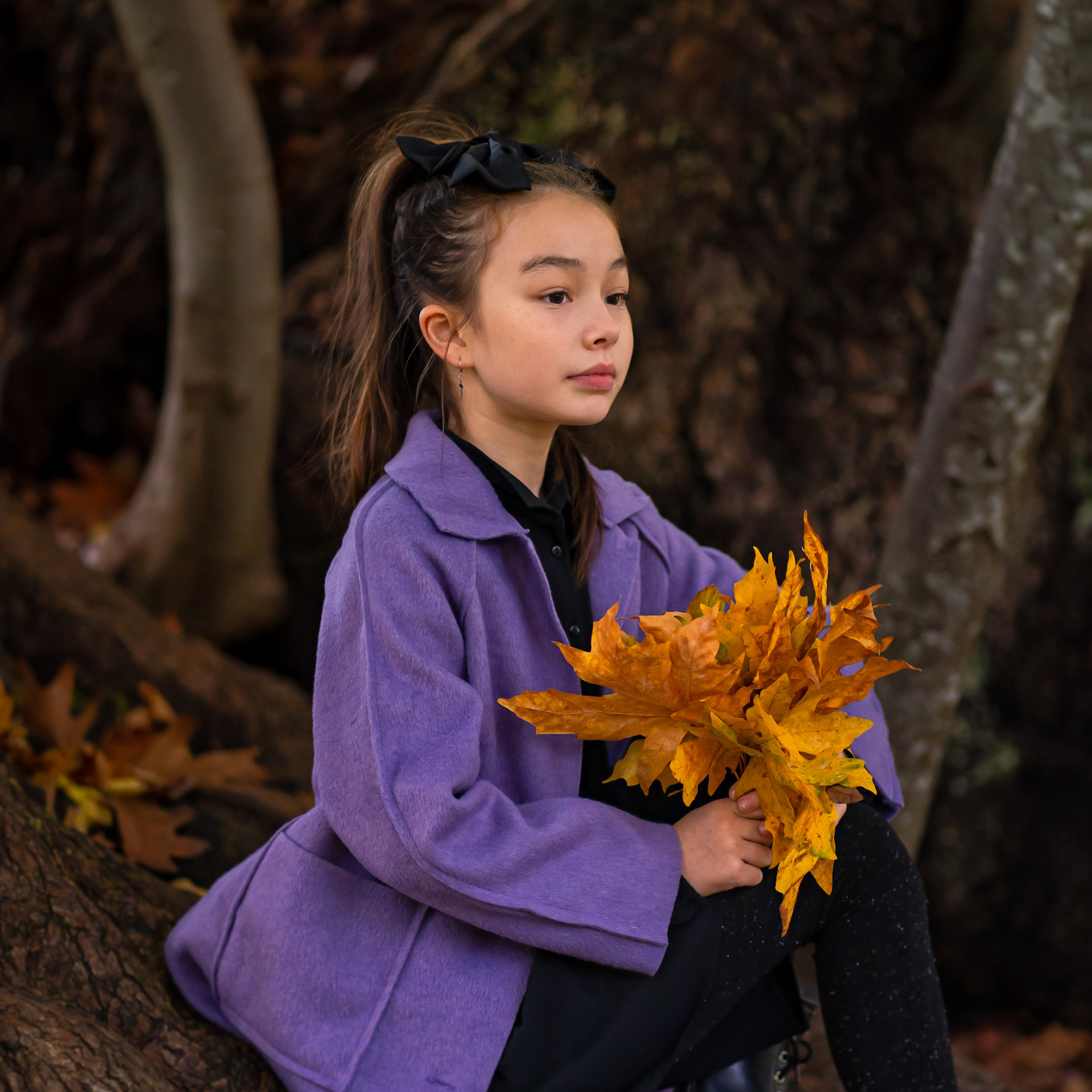 Autumn