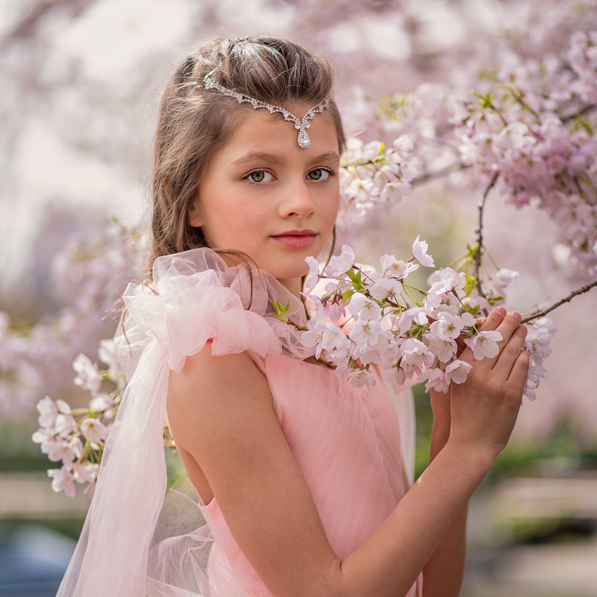 Cherry blossom