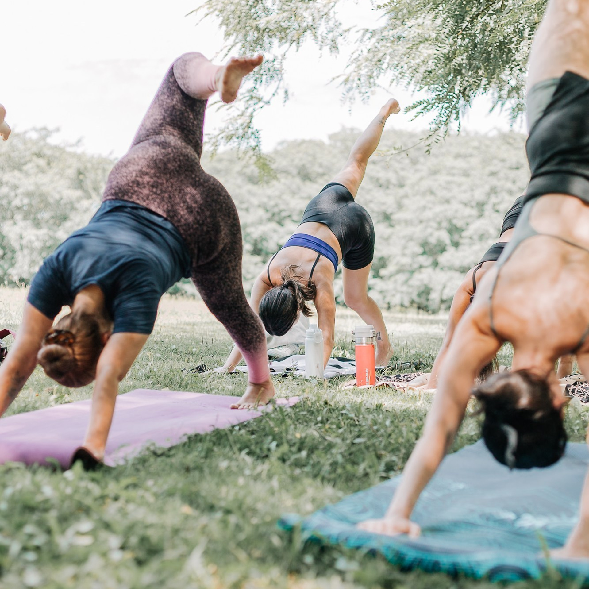 Yoga no Parque da Juventude — São Paulo /SP. Mareh Audiovisual