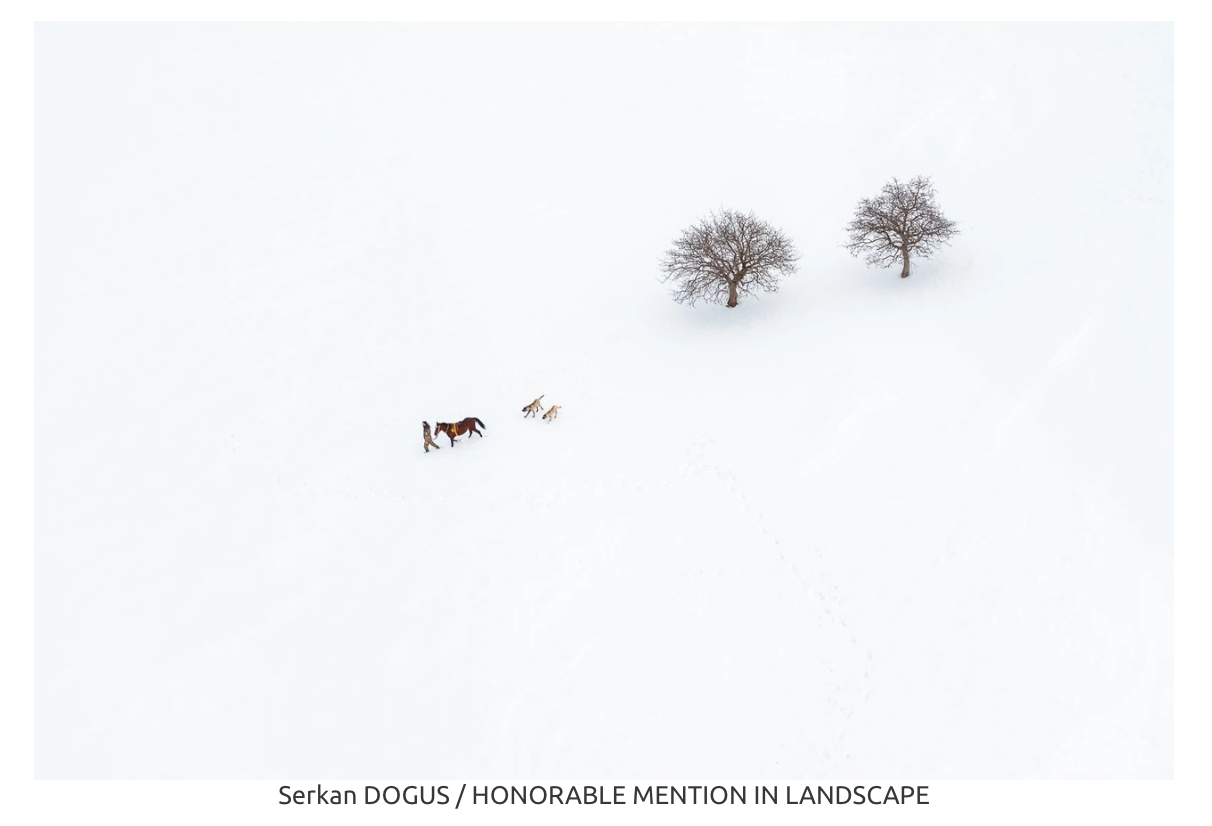 Qué se considera minimalismo hoy? Analizamos a los ganadores de los Minimalist Photography Awards 2026. Corporate Photographer in Mexico City | Headshots & Business Events