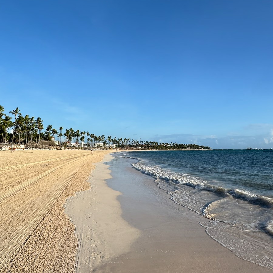 Clean Bavaro Beach right after sargassum cleanup