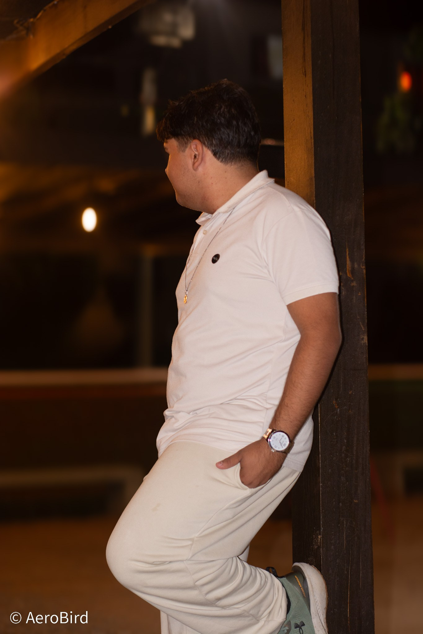Portfólio. AerobirdStudios