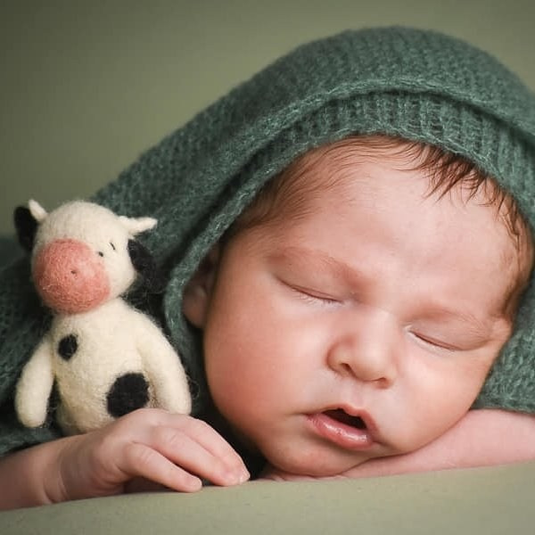 New Born. HERMOSILLO STUDIO