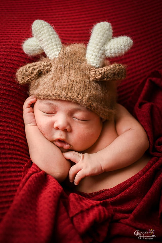 New Born. HERMOSILLO STUDIO