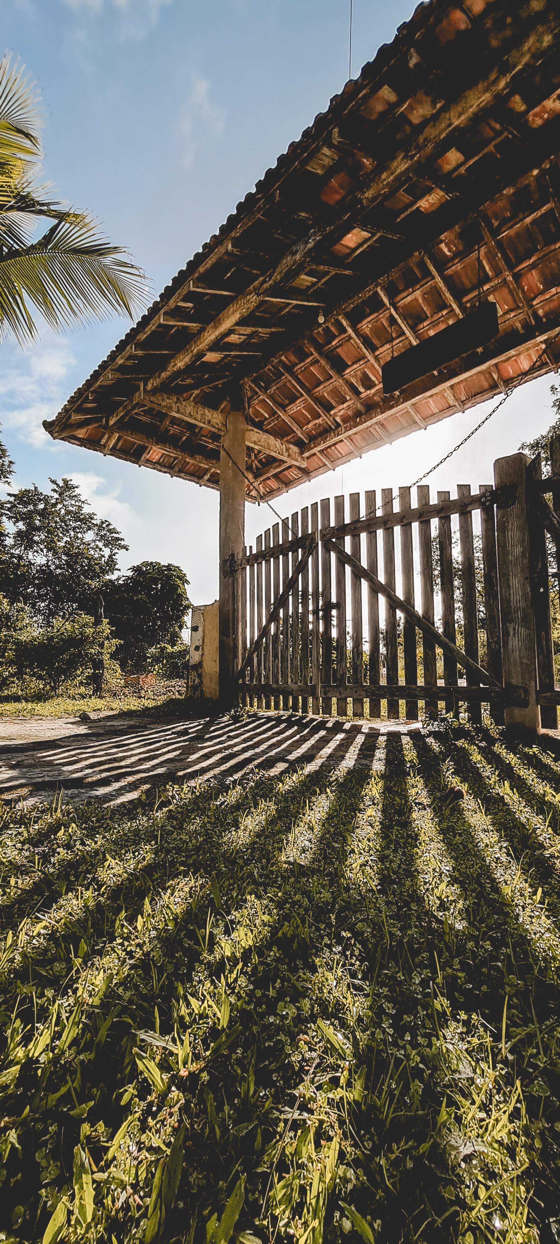 fotografia-de-portao-de-fazenda