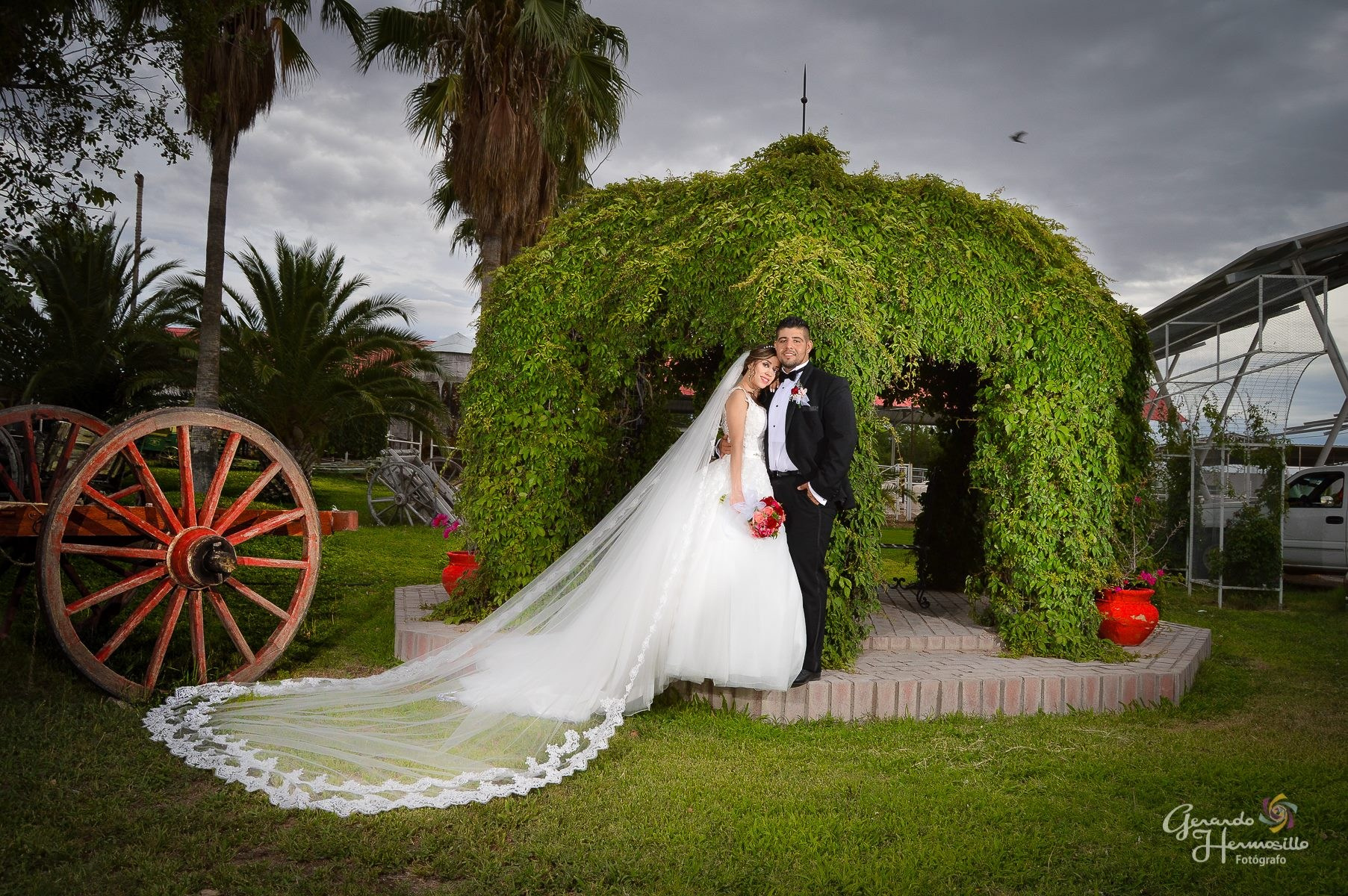 Servicios. HERMOSILLO STUDIO