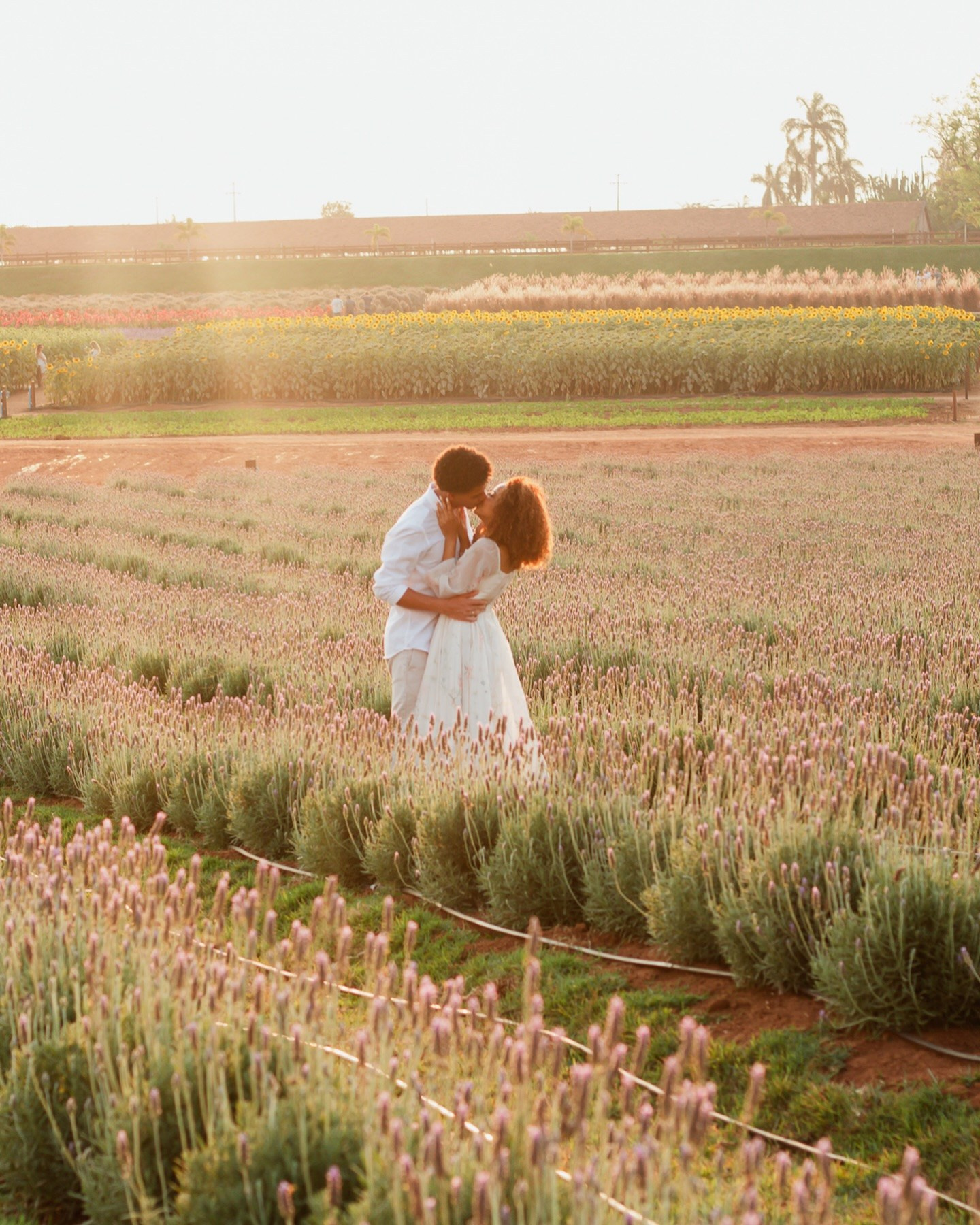 Pedido de Casamento e Pré-Wedding em Holambra | Joyce Maria Fotografia. Joyce Maria Fotografia | Fotógrafa em Holambra