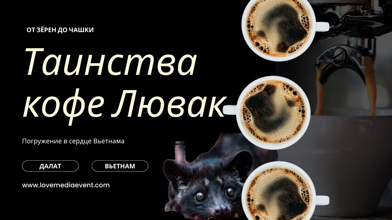Видеограф на острове Пхукет, Самуи и Панган