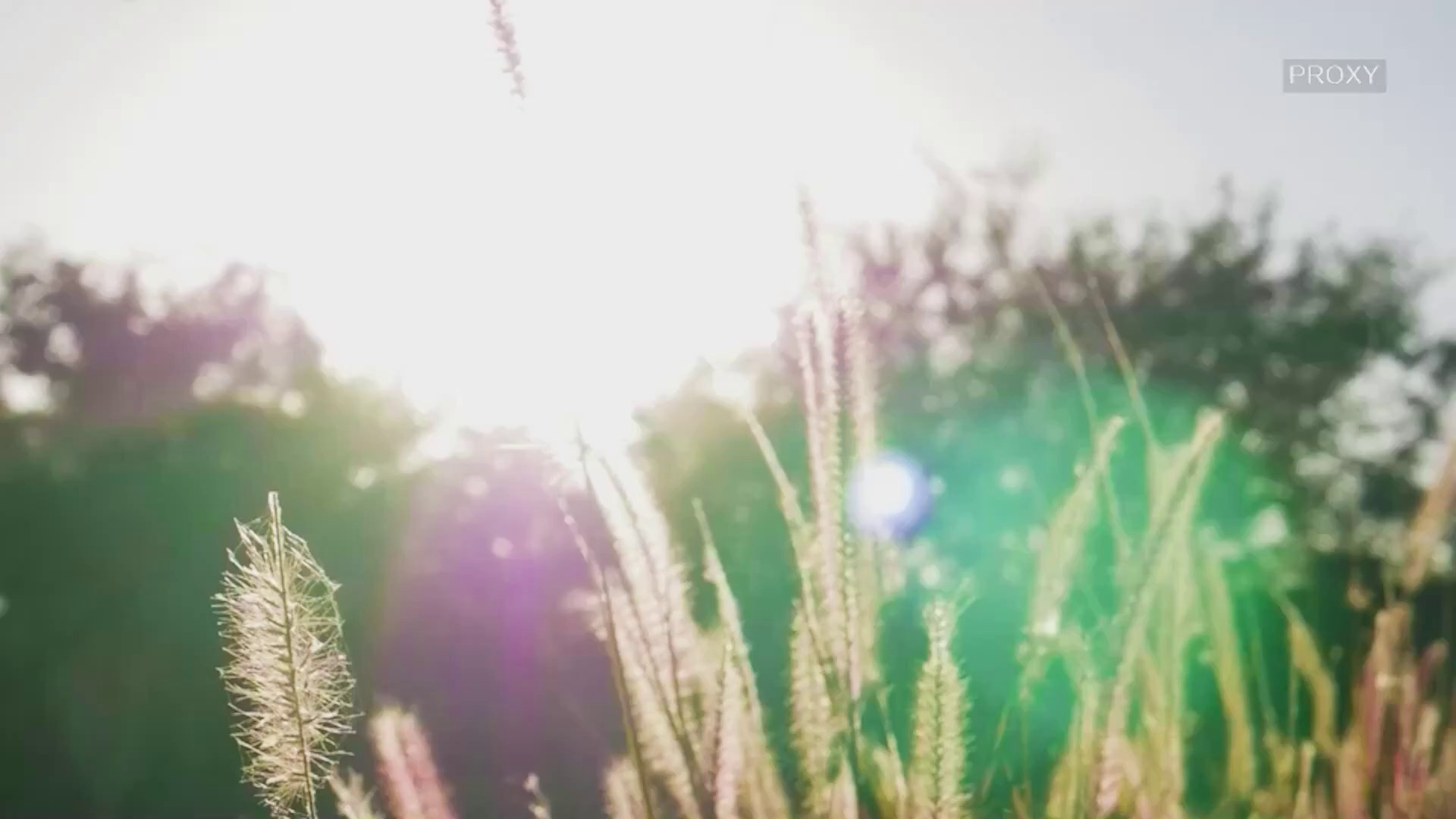 XV. Videógrafo en Hermosillo| Luis Rivera Films & Stories