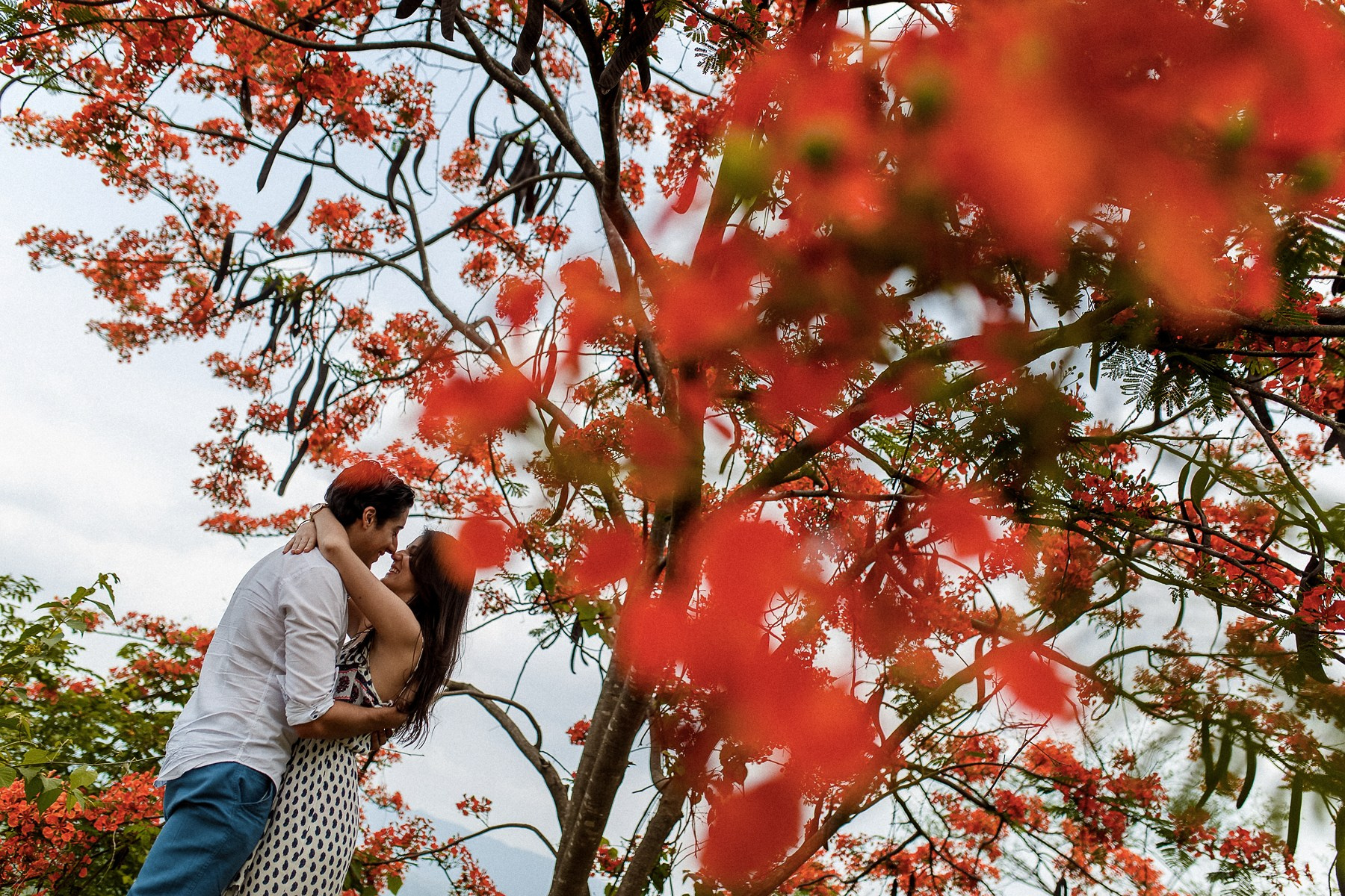 Andrea y Juanjo: Sesión pre boda en el naranjo